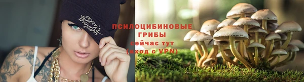 прущие крисы Верхний Тагил