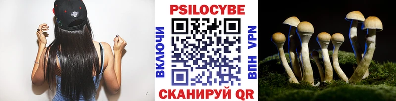 Псилоцибиновые грибы Psilocybine cubensis  Гаврилов Посад 
